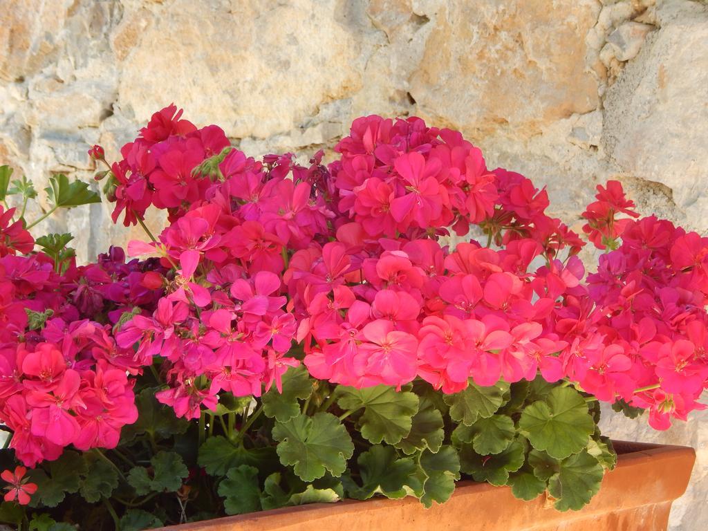 Bed and Breakfast I Lecci Lerici Exterior foto