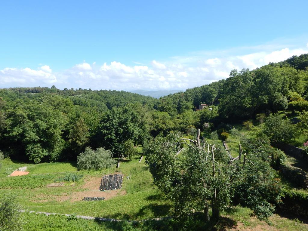 Bed and Breakfast I Lecci Lerici Exterior foto